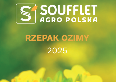 Nowy katalog: ZBOŻA OZIME I JĘCZMIEŃ PRZEWÓDKOWY