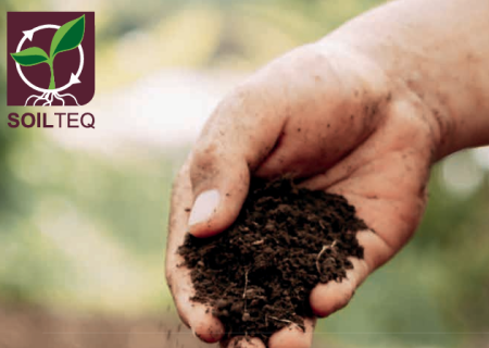 Nowy katalog: REGENERACJA GLEBY