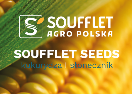 Nowy katalog: kukurydza i słonecznik 2027